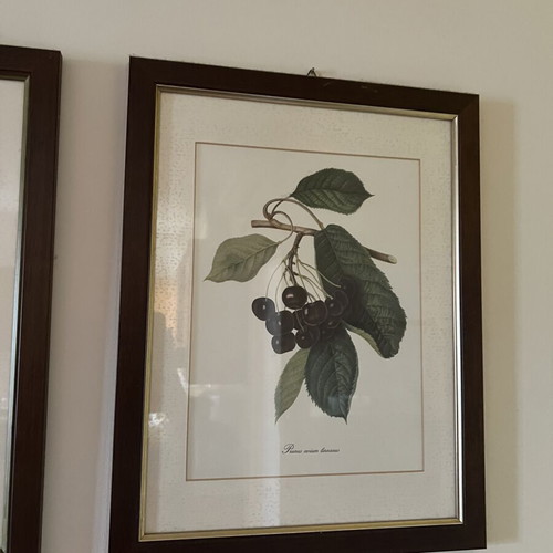 Wooden frames used, set of 3
