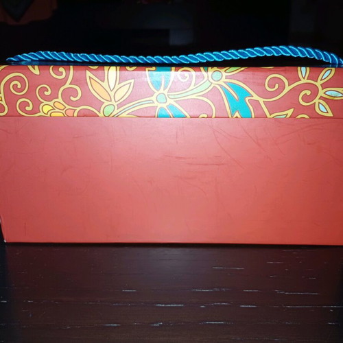 Fresh Line storage box new with blue cord handle