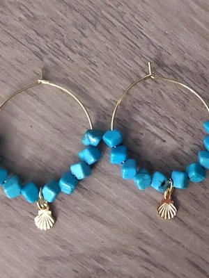 Hoop earrings with haolite steel like new