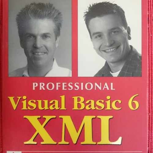 Professional Visual Basic 6 XML book like new