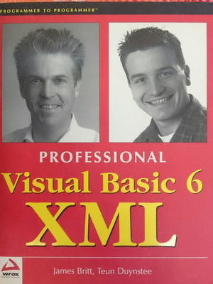 Professional Visual Basic 6 XML book like new