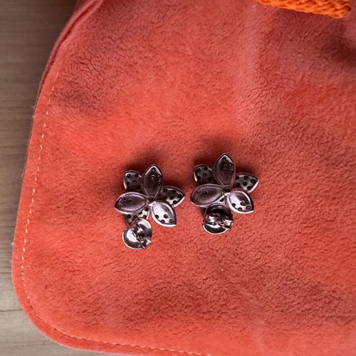 Gold Plated Silver Earrings With Crystals New