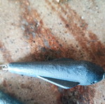 Fishing weights like new