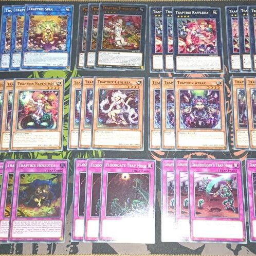 Traptrix Deck new, complete set