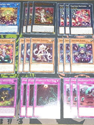 Traptrix Deck new, complete set
