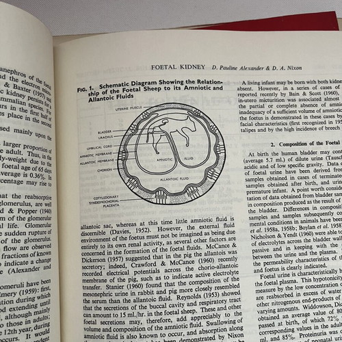 British Medical Bulletin collection like new, 4 historic medical journals