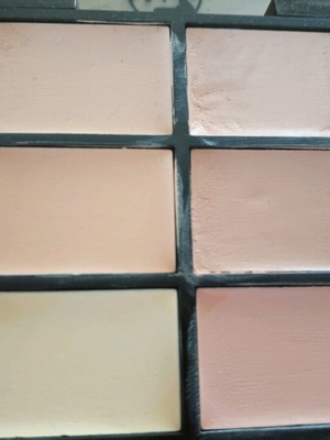 W7 concealer palette used