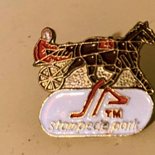 Vintage Stampede Park Pin from Canada, harness racing design, like new