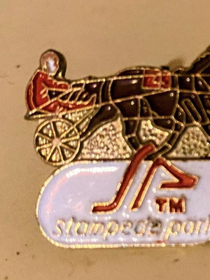 Vintage Pin Stampede Park Καναδάς, σχέδιο ιπποδρομίες με αμαξίδιο, σαν καινούργιο