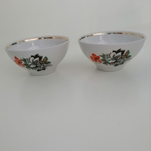 Porcelain bowls vintage set of two with floral pattern, like new