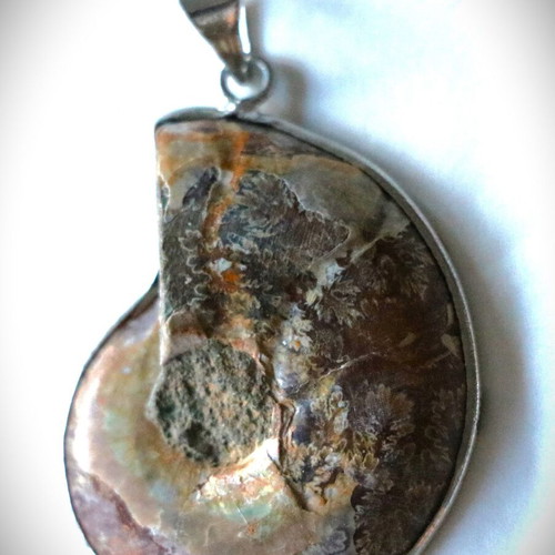 Fossil pendant 10,000 years old, handmade, 925 sterling silver