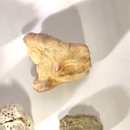 Pack of 6 unique stones for collection and decoration