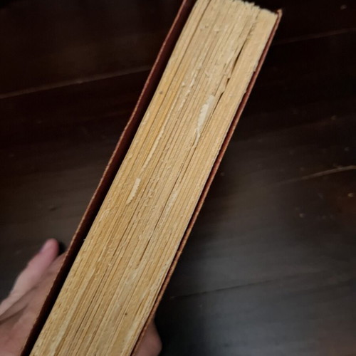 Teleny or The Other Side of the Coin by Oscar Wilde used