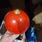 Horema maraca used, 1 piece