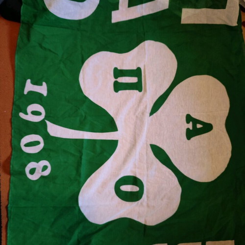 PAO Europe flag like new