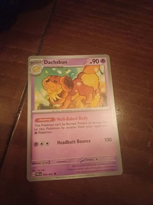 Pokemon card new