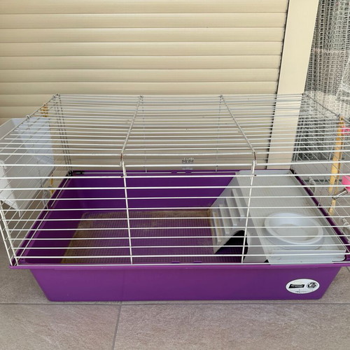 Guinea Pig Cage used for small animals
