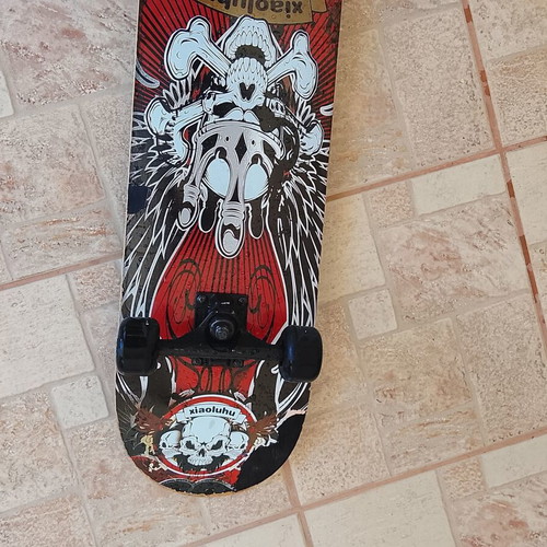 Xiaoluhu skateboard used with rock patina and skulls