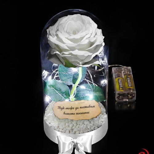 White artificial eternal rose in glass dome with LED lights custom made