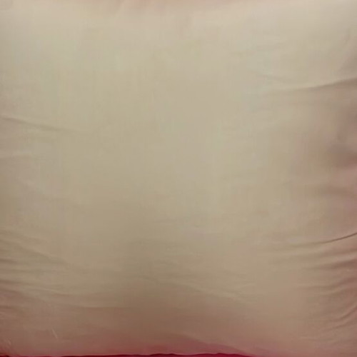 Hand-painted all-silk pillow with hibiscus new