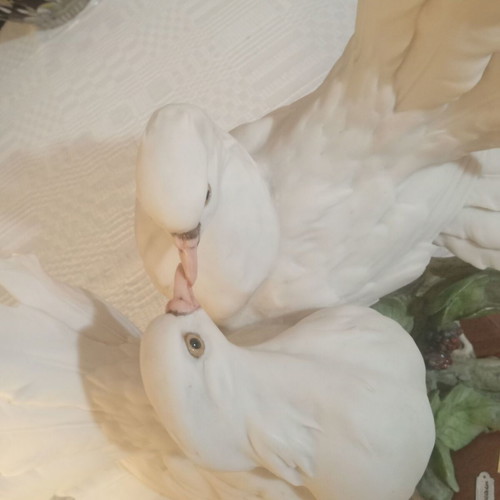 Giuseppe Armani porcelain figurine vintage "Doves' Kiss"
