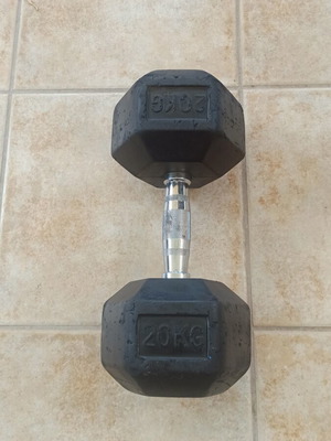 Αλτήρας 20 Kg εξάγωνος πλαστικοποιημένος