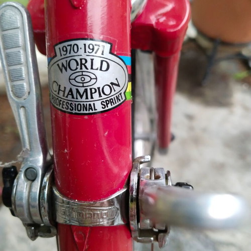 Team Raleigh Racing Collectible Bicycle like new, red