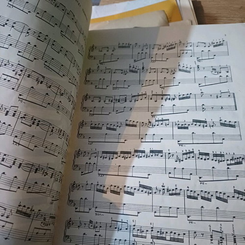 Vintage sheet music 2 songs used