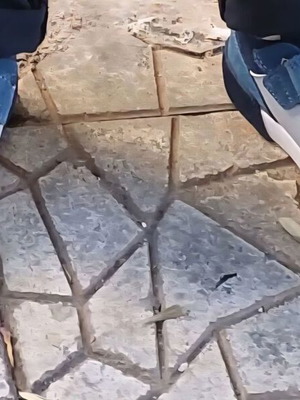 Παιδικό Παπούτσι Sneakers Geox μπλε νούμ. 26 σαν καινούργιο