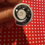 Ring made from shell