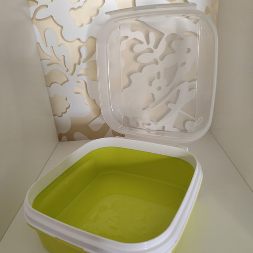 Tupperware green container 1.2 liters new