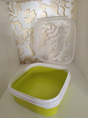 Tupperware green container 1.2 liters new