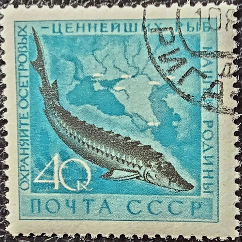 Soviet Union 1959 stamp