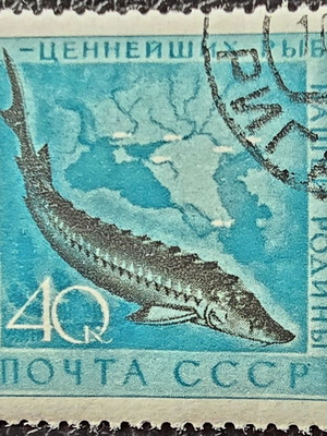 Soviet Union 1959 stamp