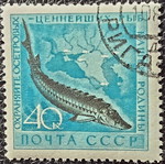 Soviet Union 1959 stamp