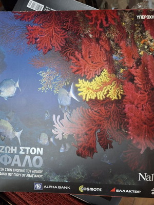 Life on the Reef book, tropical Aegean diving