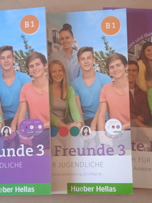 Beste Freunde 3 Level B1 Student Pack like new