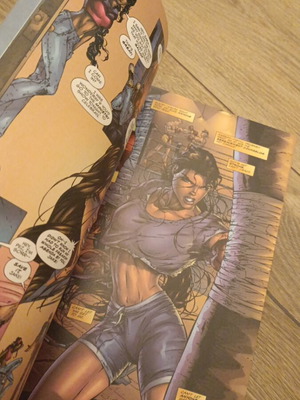 Witchblade collected editions comic, Image Comics