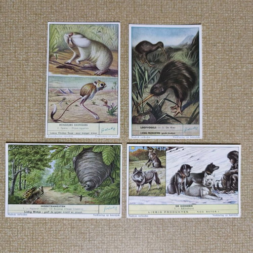 Liebig educational collectible animal and nature cards like new, set of 4