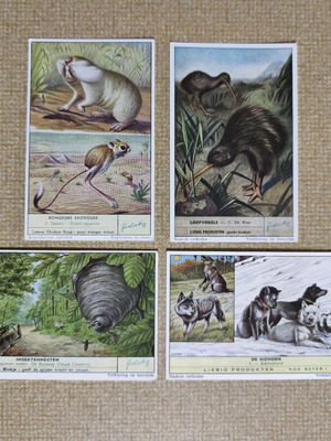 Liebig educational collectible animal and nature cards like new, set of 4