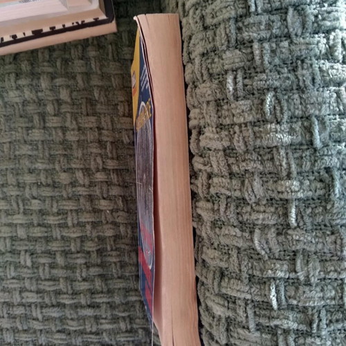 The Secret of the Red Fox Anthony Hyde used book