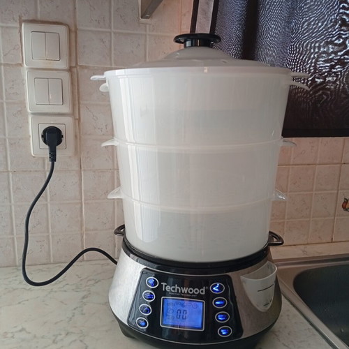 Techwood Electric Steamer like new, 3-level digital timer