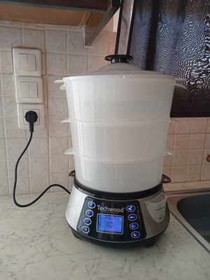 Techwood Electric Steamer like new, 3-level digital timer