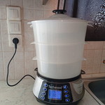 Techwood Electric Steamer like new, 3-level digital timer