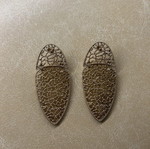 Gold earrings like new