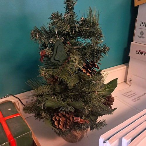 Small Christmas tree used