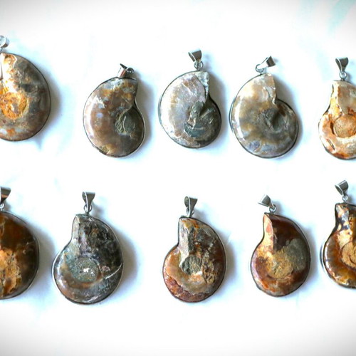 Fossil pendant 10,000 years old, handmade, 925 sterling silver
