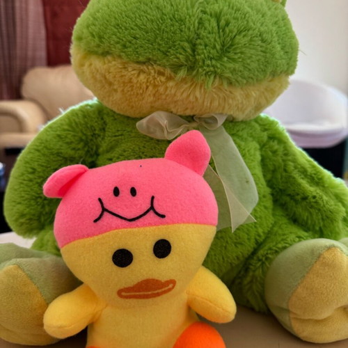 Stuffed toys used, pack of two (frog and duck)