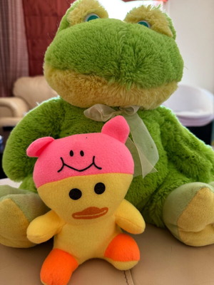 Stuffed toys used, pack of two (frog and duck)