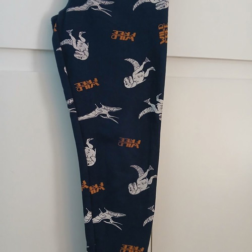 Orchestra dinosaur tracksuit used, size 140 cm, multicolor